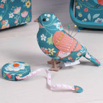 Pincushion Bird Bird Aviary