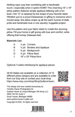 Delaware HOME Pillow Pattern