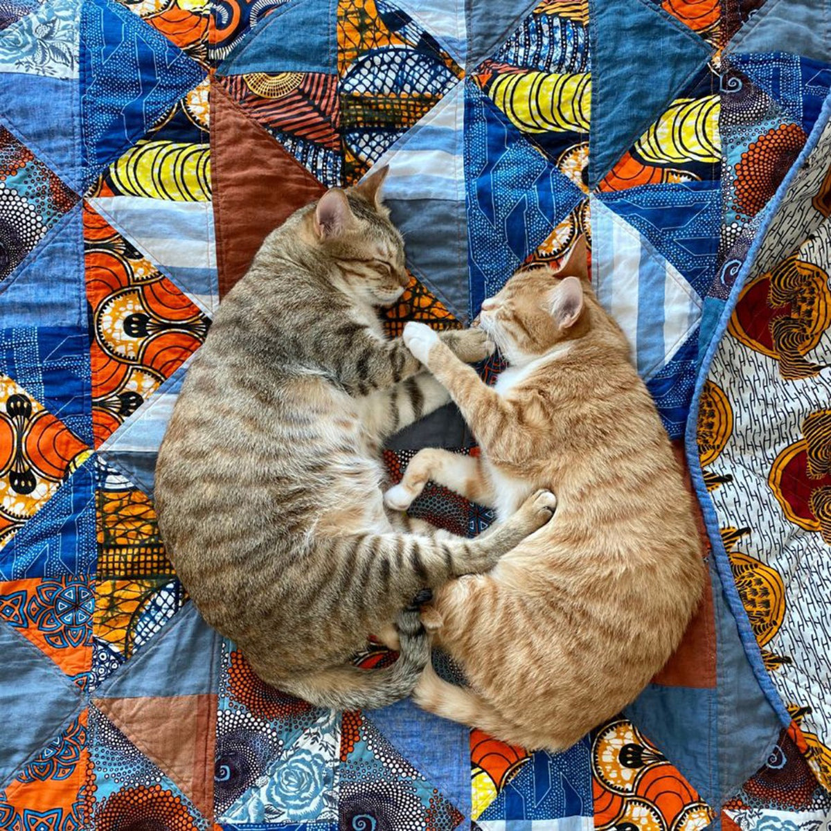 Quiltfolk Cats