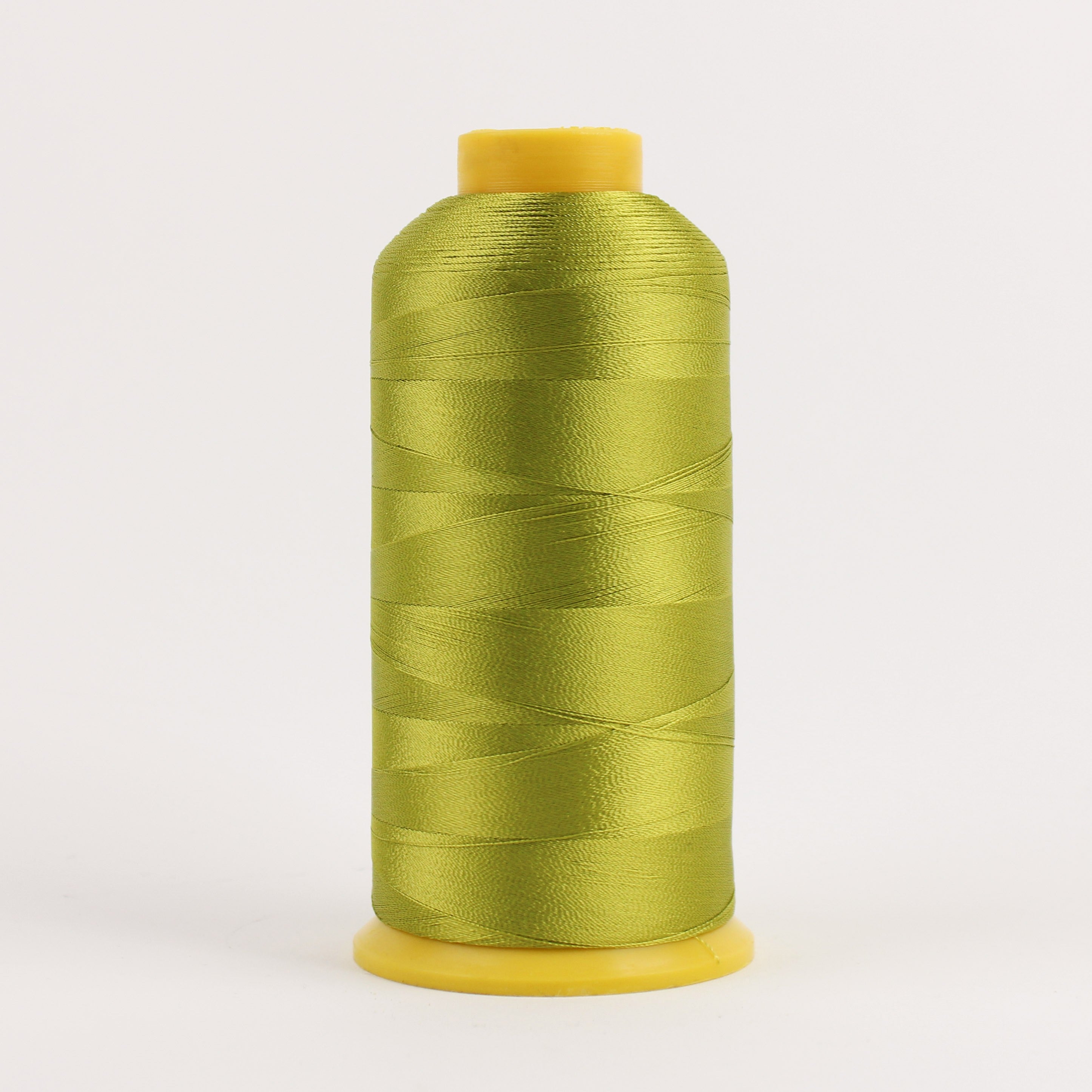 Splendor 40wt 2ply Rayon 4572m Spring Green
