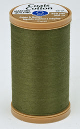 Bronze Green