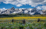 Summer in the Rockies Panel 34in x 22.25in