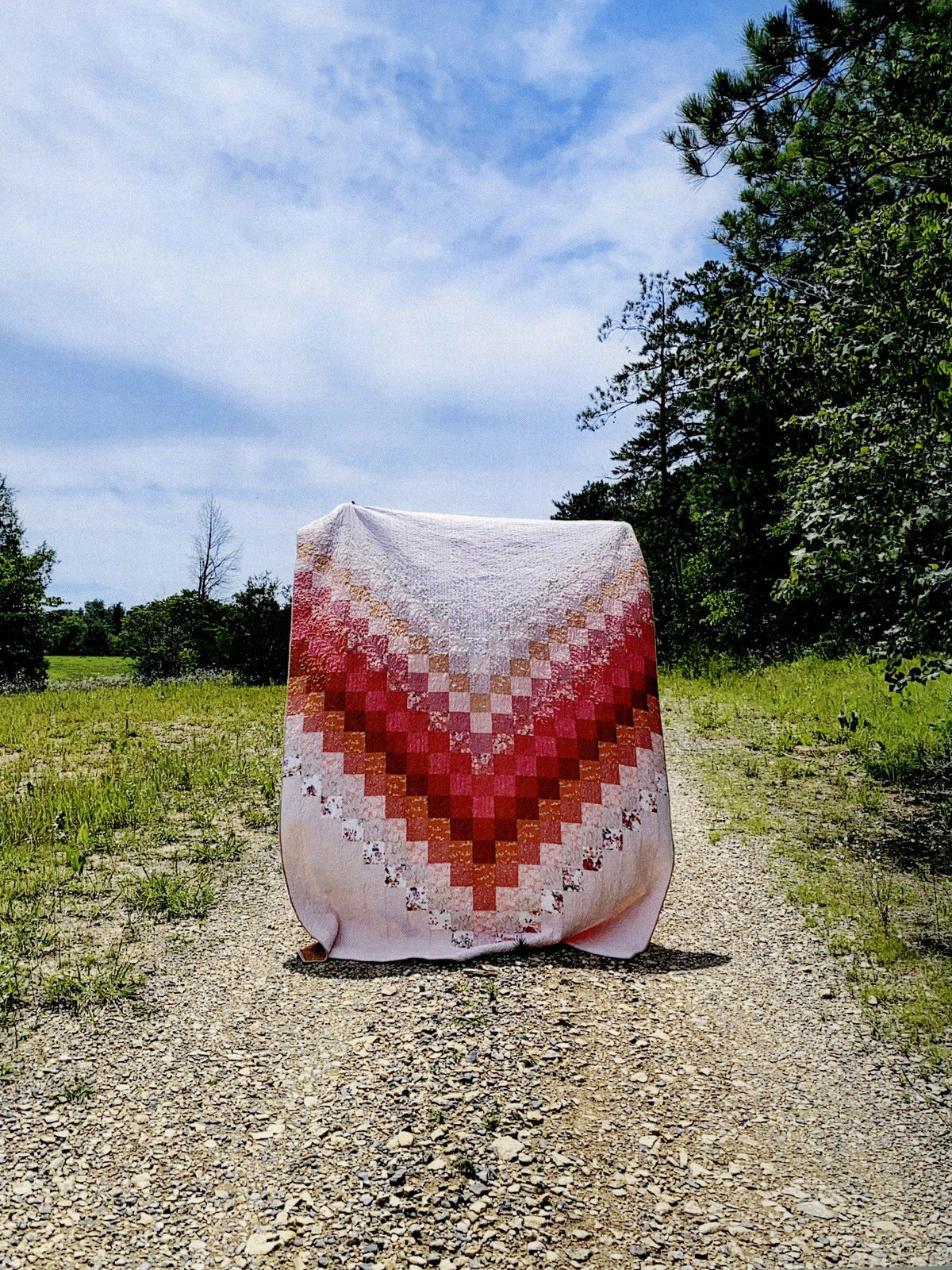 A Life With Quilts Book by Melanie Traylor