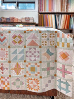 Dilly Dally Quilt Book