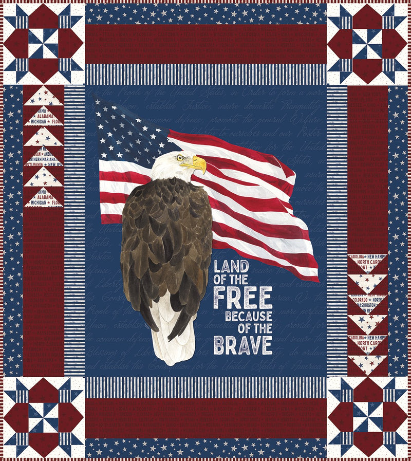Land of the Free Panel Quilt Store Display