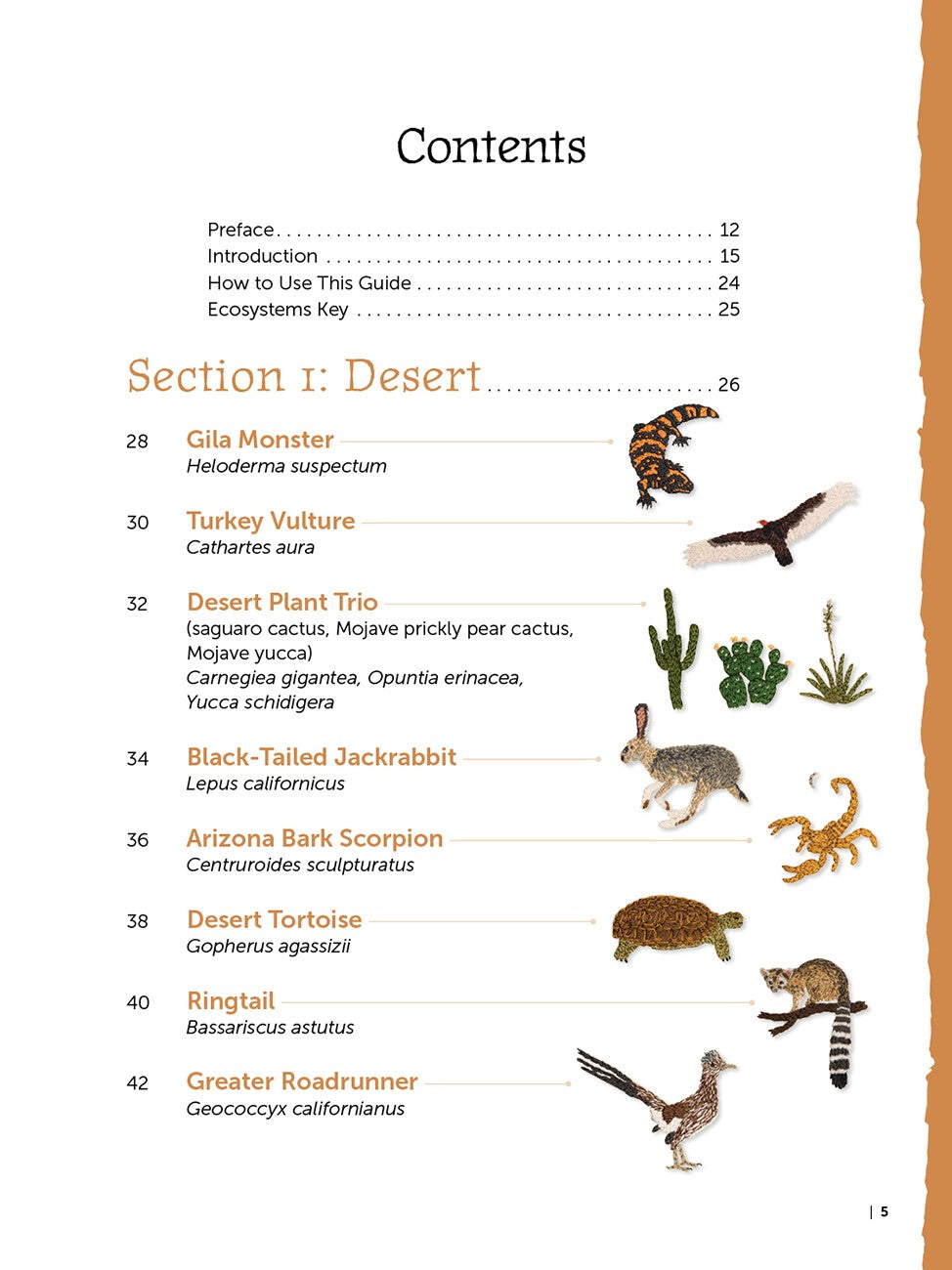 The Field Guide to Embroidery: 52 North American Animal & Plant Designs