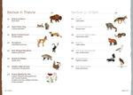 The Field Guide to Embroidery: 52 North American Animal & Plant Designs