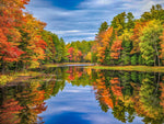 Fall Color Reflection Panel 32in x 24in