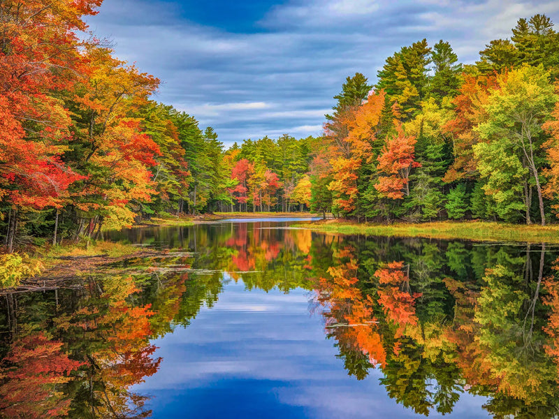 Fall Color Reflection Panel 32in x 24in