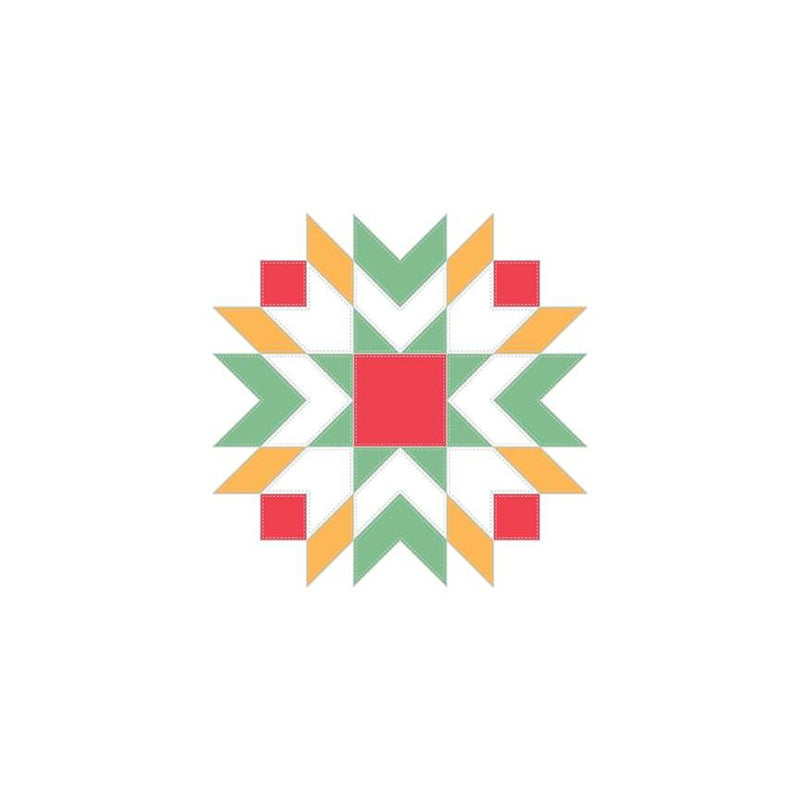 Gingham Star Needle Minder