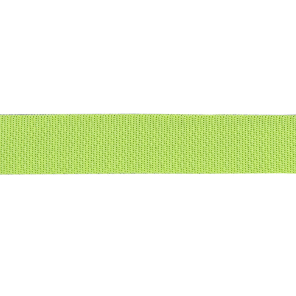 Tula Pink EverGlow Webbing  Moonbeam/Neon 1in x 16yds