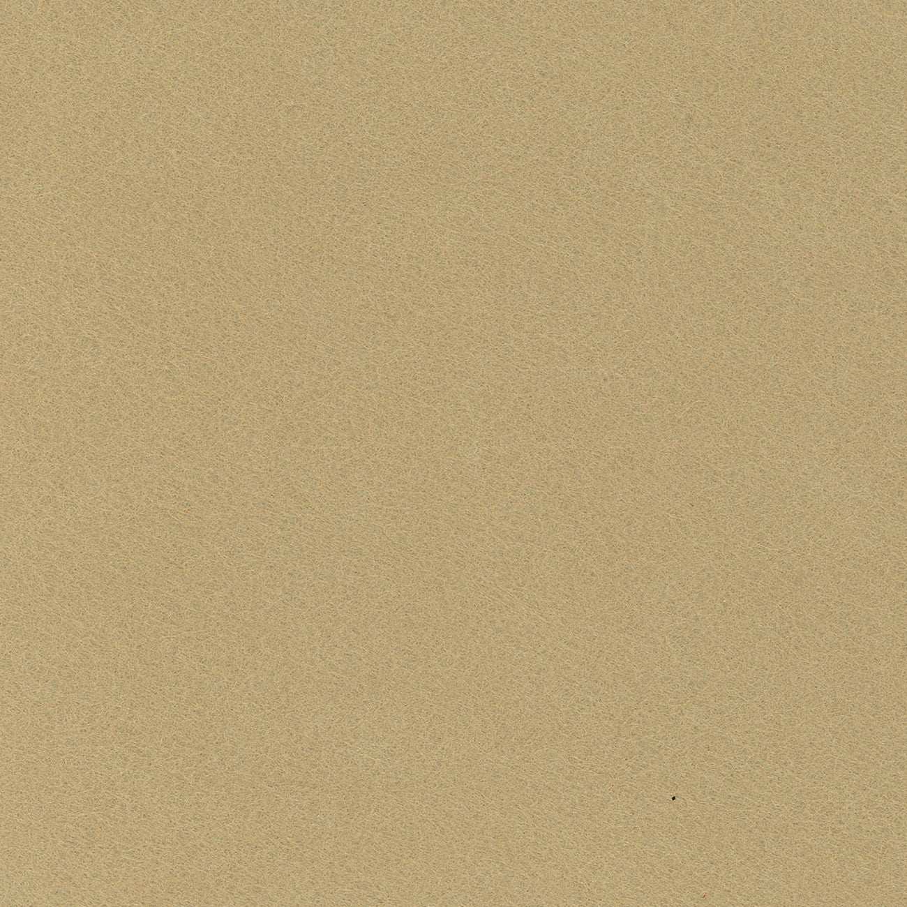 Wool Felt Champagne 12in x 18in