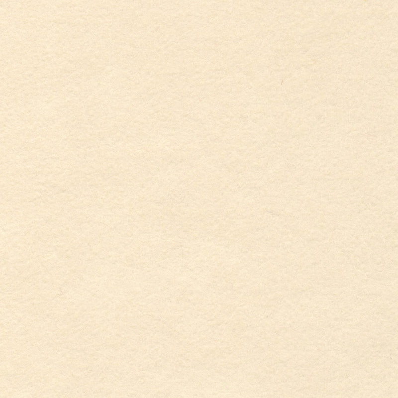 Wool Felt Angel Wings 12in x 18in