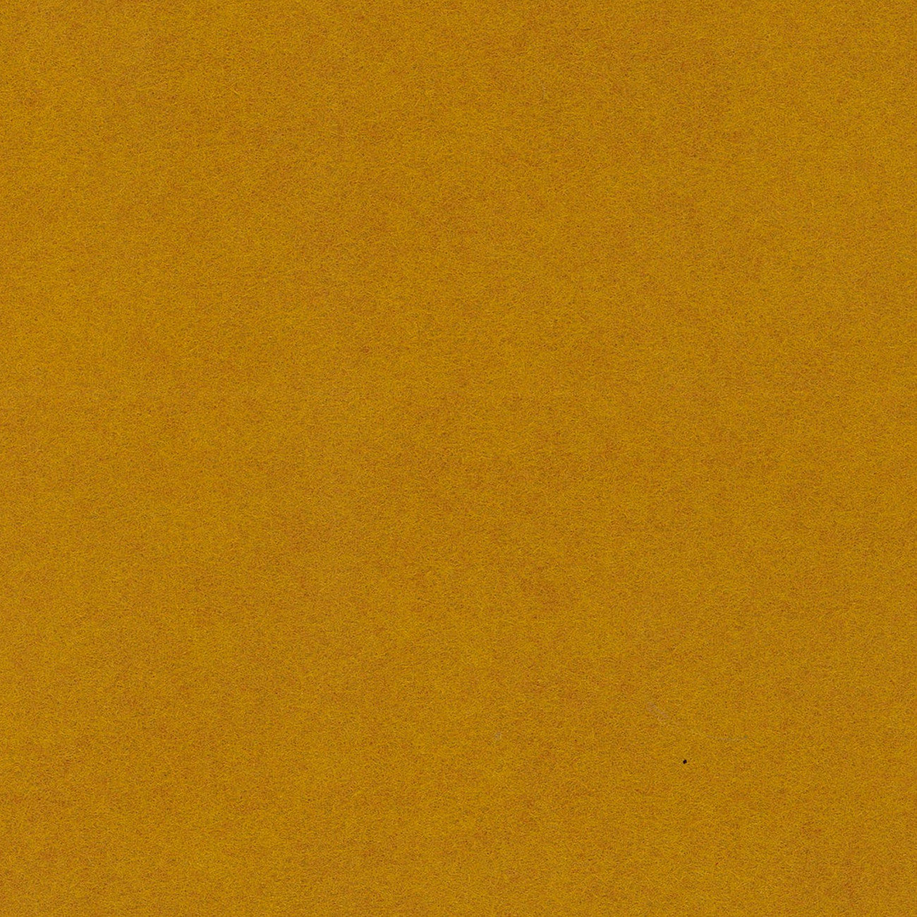 Wool Felt Butternut Squash 12in x 18in
