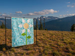 Big Sky Bloom