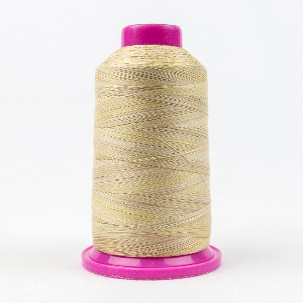 Tutti Variegated 50wt Cotton Thread 2286m Fall Leaves