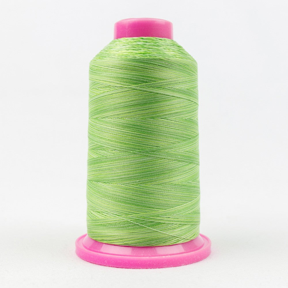 Tutti Variegated 50wt Cotton Thread 2286m Lime
