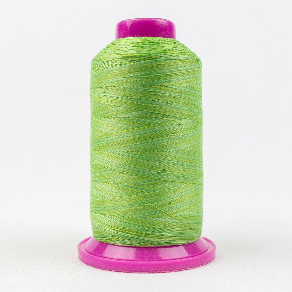 Tutti Variegated 50wt Cotton Thread 2286m Grass