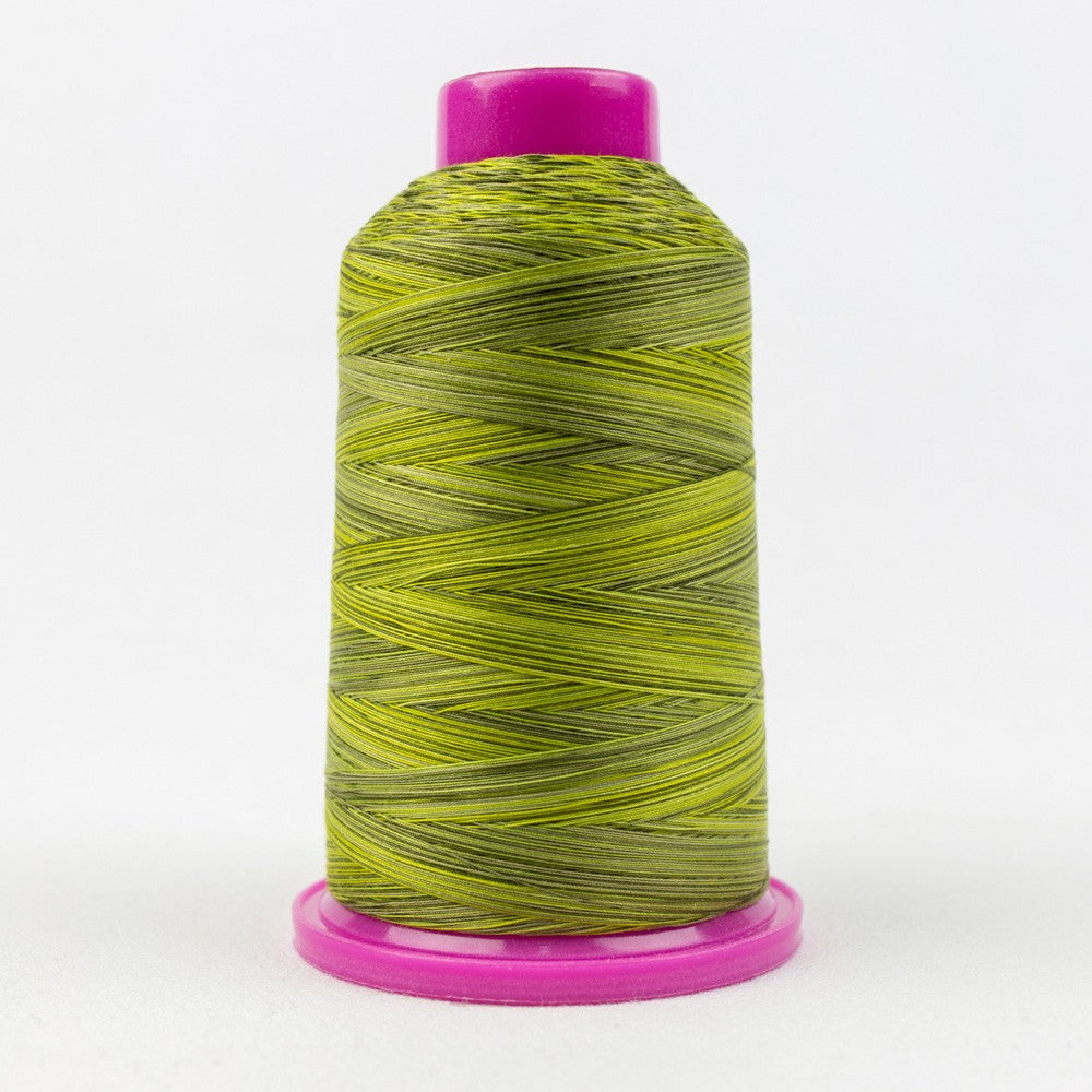 Tutti Variegated 50wt Cotton Thread 2286m Moss