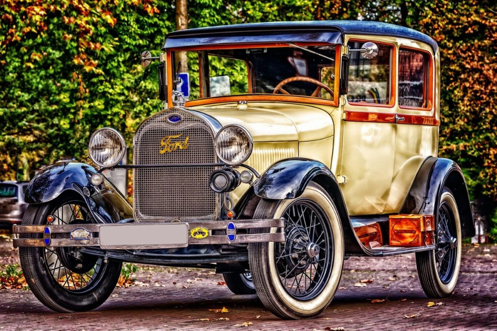 Vintage Ford Panel 24in x 16in