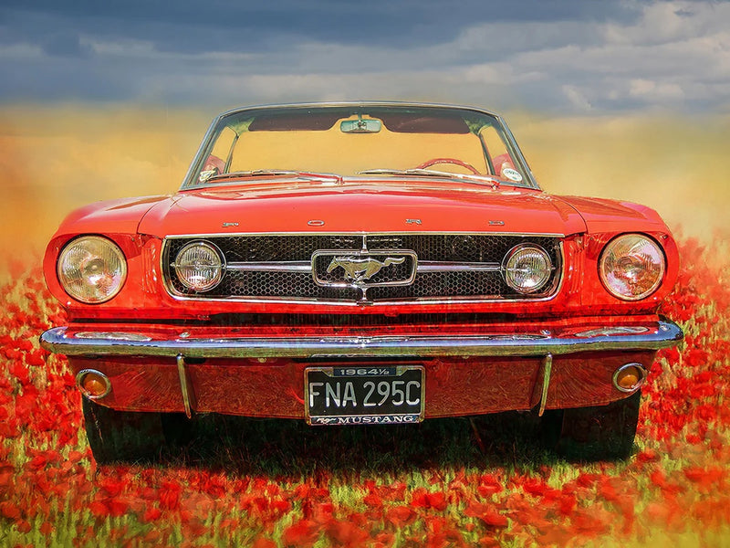Red Mustang Panel 24in x 18in