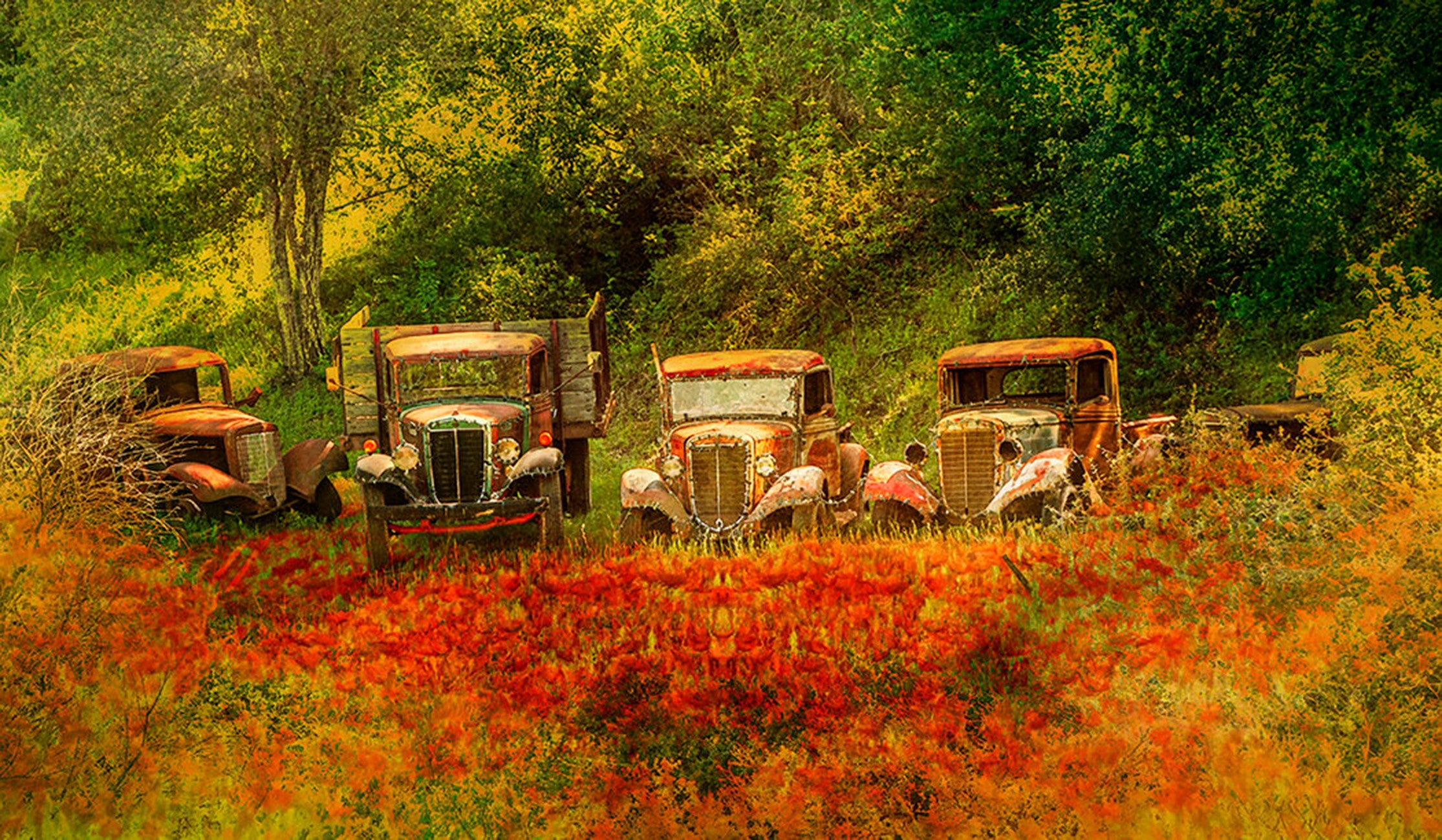 Field of Trucks 24in x 14in