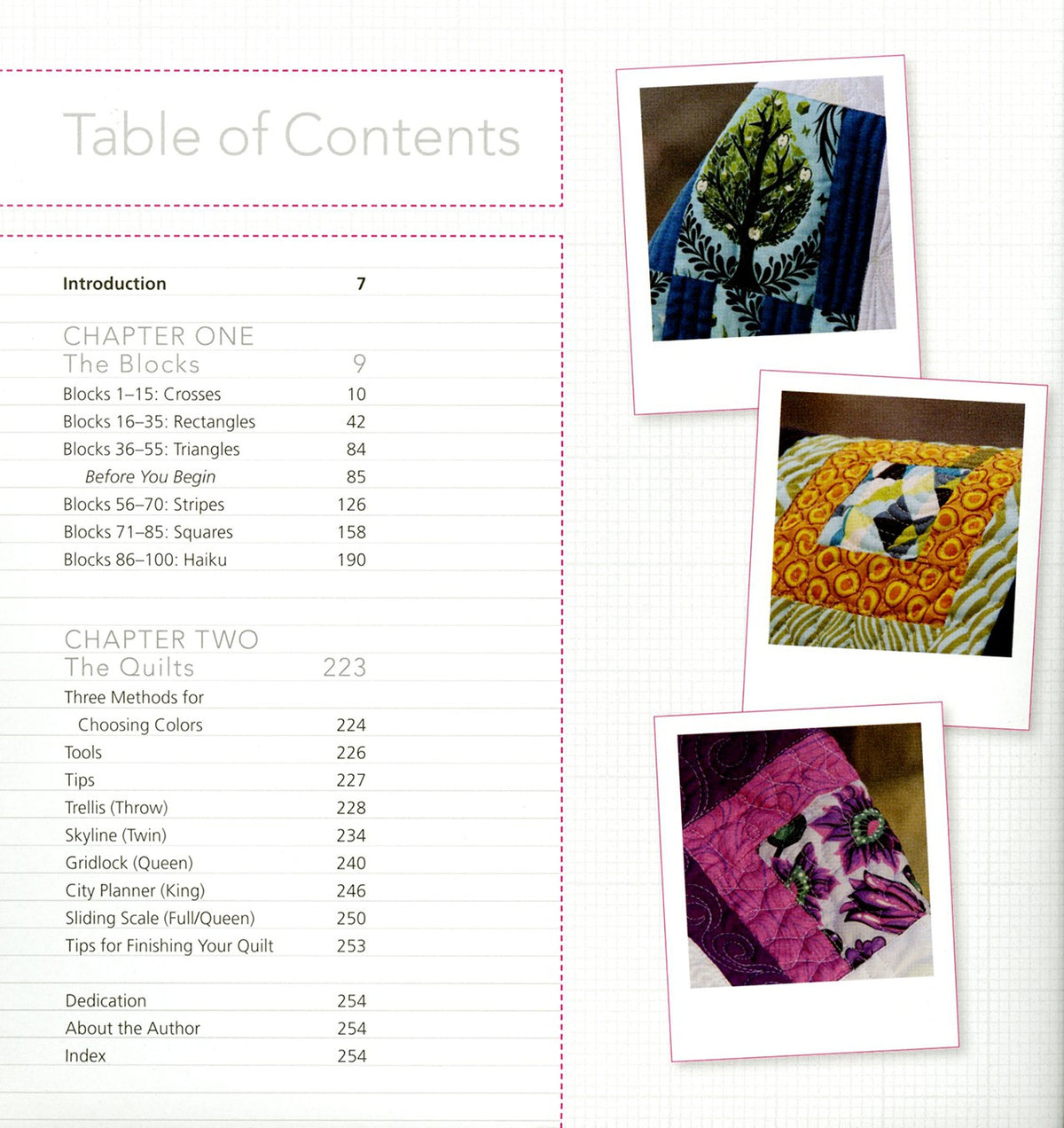 Tula Pink's City Sampler 100 Modern Quilt Blocks