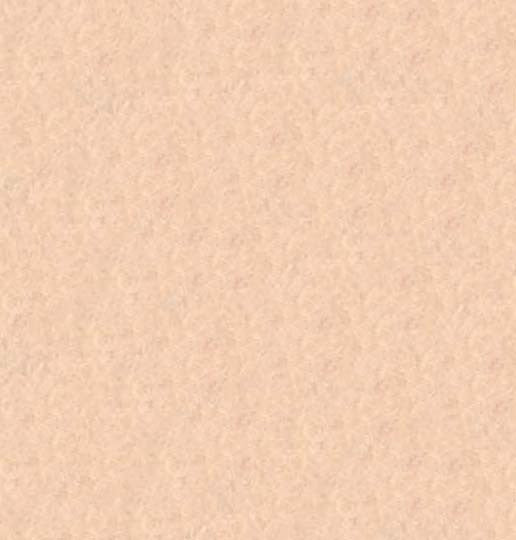 Wool Felt Blush 36in x 36in