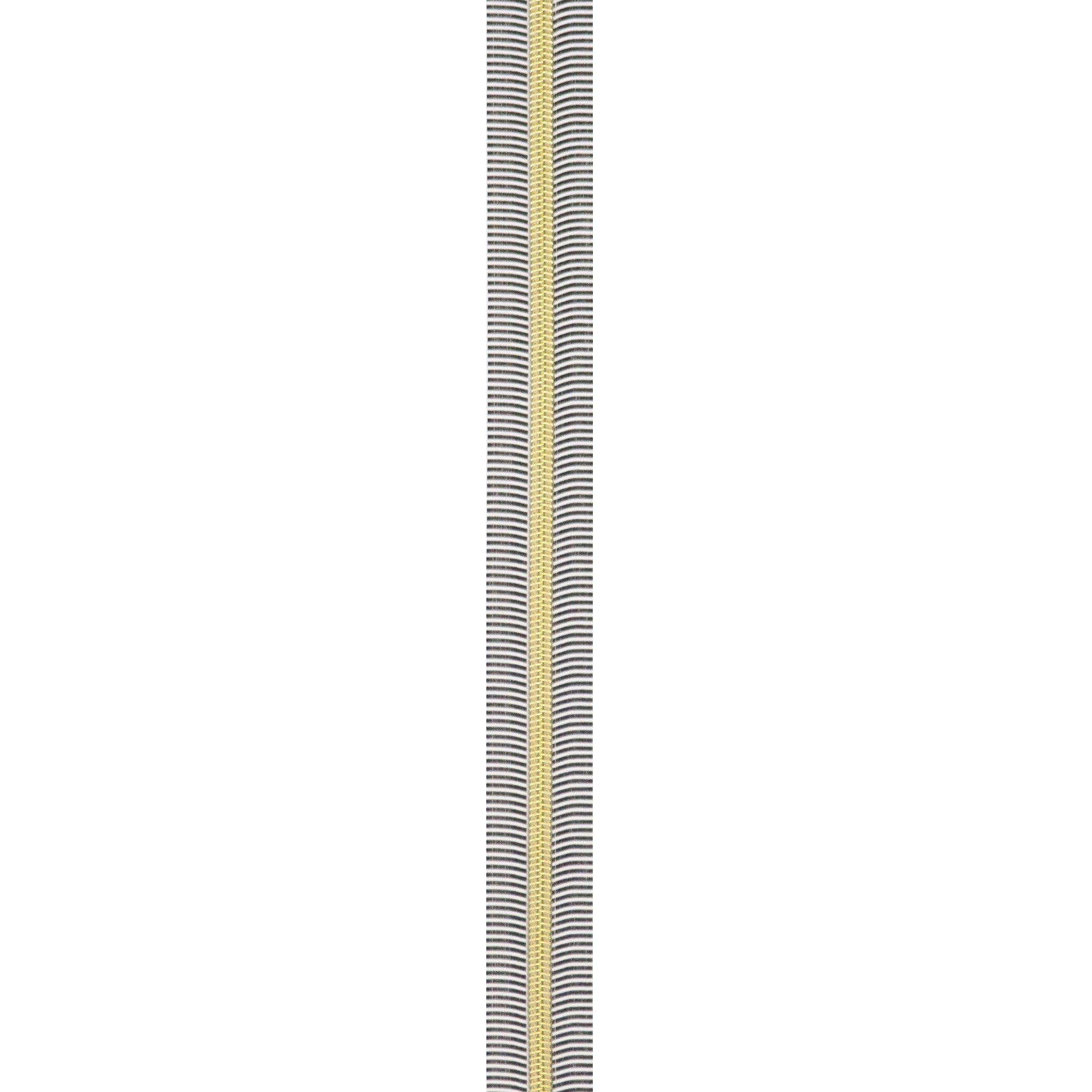 Black/White 5 Nylon Gold Coil Zippers