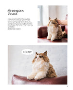 Crochet Your Own Cat