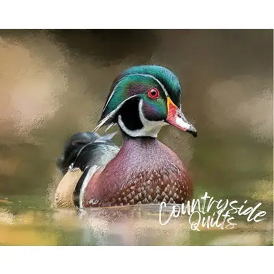 Abstract Wood Duck Panel 20in x 16in
