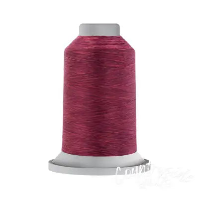 Affinity Variegated Polyester Thread 40wt 3,000yds King Spool Wine