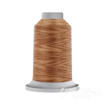 Affinity Variegated Polyester Thread 40wt 3,000yds King Spool Brunette