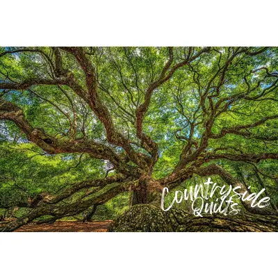 Angle Tree Johns Island Panel 24in x 16in