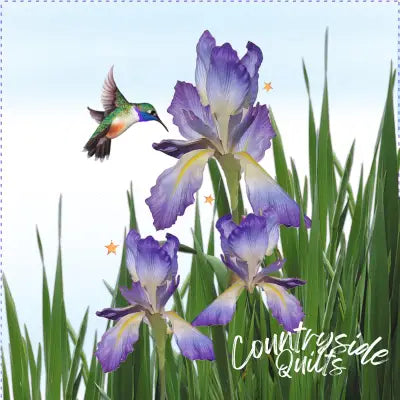 Art Panel 6in Iris Hummingbird