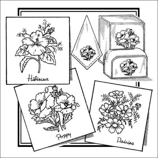 Aunt Martha’s® #3864 Hibiscus Poppy & Daisies Tea