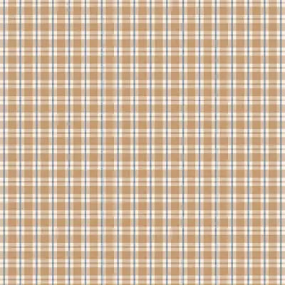 Autumn Day Tan plaid ADTP001