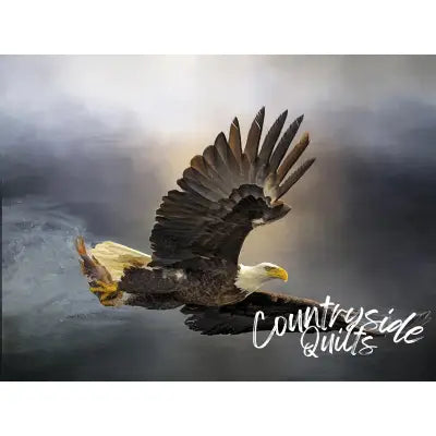 Bald Eagle with Dinner Panel 24in x 18in