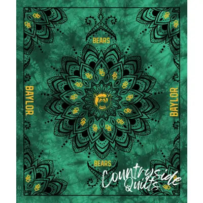 Baylor Collegiate Tapestry-48in x 56in