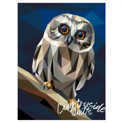 Big Hooter Quilt Kit