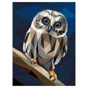 Big Hooter Quilt Kit QK060