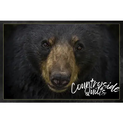 Black Bear Face Panel 24in x 16in