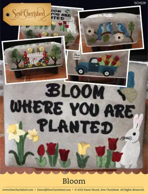 Bloom