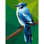 Blue Jay Mini Pattern PT063