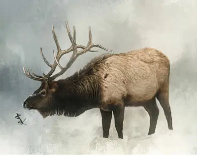 Bull Elk in Winter 18x14in Panel