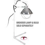 Chick Brooder Kit