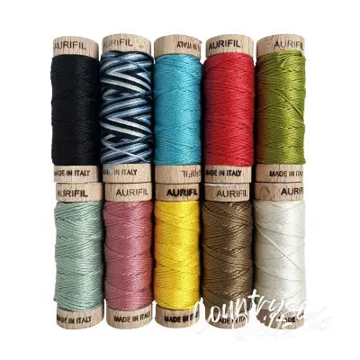 Chicken Scratch Embroidery By Carolyn Forster