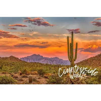 Classic Desert Scene Panel 24in x 16in