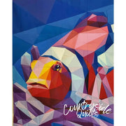Clownfish Pattern PT017