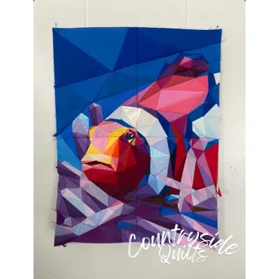 Clownfish Quilt Kit